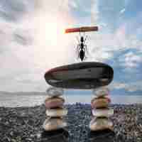 智‍能‌标‌签‌的​好‌处﻿